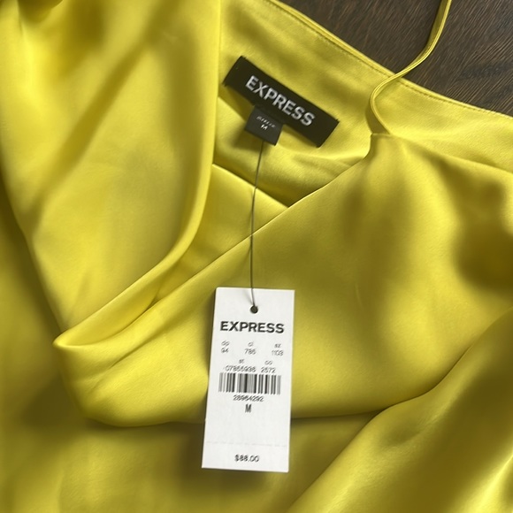 EXPRESS Slip Dress (M) FINAL SALE - Picture 2 of 4